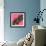 Horse Love Pink-Sharon Turner-Framed Art Print displayed on a wall