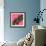 Horse Love Pink-Sharon Turner-Framed Art Print displayed on a wall