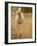 Horse, Montana, USA-Russell Young-Framed Photographic Print