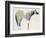 Horse No. 33-Anthony Grant-Framed Art Print