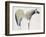 Horse No. 33-Anthony Grant-Framed Art Print