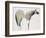 Horse No. 33-Anthony Grant-Framed Premium Giclee Print