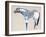 Horse No. 34-Anthony Grant-Framed Art Print