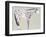 Horse No. 60-Anthony Grant-Framed Art Print