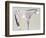 Horse No. 60-Anthony Grant-Framed Premium Giclee Print