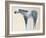 Horse No. 66-Anthony Grant-Framed Art Print