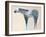 Horse No. 66-Anthony Grant-Framed Art Print