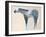 Horse No. 66-Anthony Grant-Framed Art Print