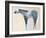 Horse No. 66-Anthony Grant-Framed Art Print