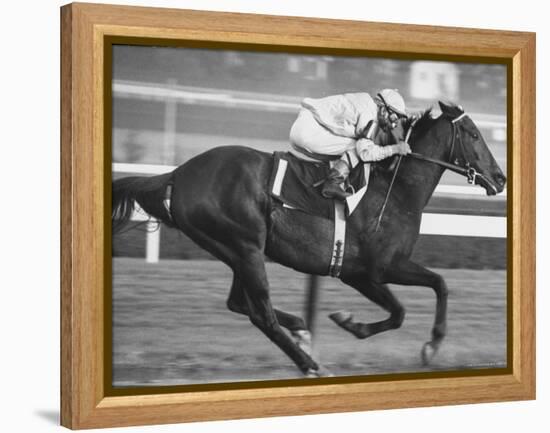 Horse of the Year, Kelso, Racing-George Silk-Framed Premier Image Canvas