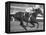 Horse of the Year, Kelso, Racing-George Silk-Framed Premier Image Canvas