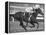 Horse of the Year, Kelso, Racing-George Silk-Framed Premier Image Canvas