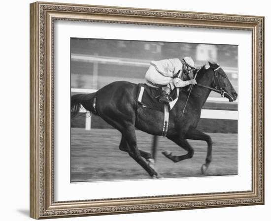 Horse of the Year, Kelso, Racing-George Silk-Framed Premium Photographic Print