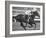 Horse of the Year, Kelso, Racing-George Silk-Framed Premium Photographic Print