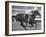 Horse of the Year, Kelso, Racing-George Silk-Framed Premium Photographic Print