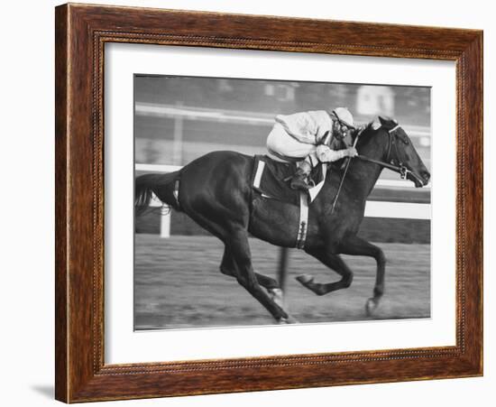 Horse of the Year, Kelso, Racing-George Silk-Framed Premium Photographic Print