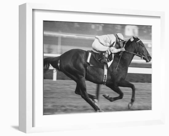 Horse of the Year, Kelso, Racing-George Silk-Framed Premium Photographic Print