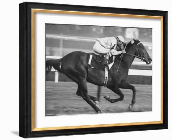 Horse of the Year, Kelso, Racing-George Silk-Framed Premium Photographic Print