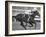 Horse of the Year, Kelso, Racing-George Silk-Framed Premium Photographic Print