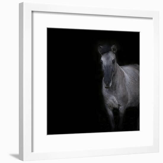 Horse on black background-Sue Demetriou-Framed Photographic Print
