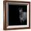 Horse on black background-Sue Demetriou-Framed Photographic Print