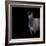 Horse on black background-Sue Demetriou-Framed Photographic Print