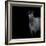 Horse on black background-Sue Demetriou-Framed Photographic Print