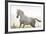 Horse On Freedom-conrado-Framed Photographic Print