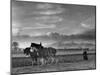 Horse Ploughing-Associated Newspapers-Mounted Photo