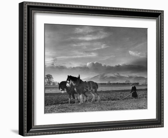 Horse Ploughing-Associated Newspapers-Framed Photo