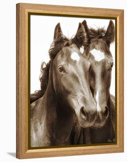 Horse Portrait III-David Drost-Framed Premier Image Canvas