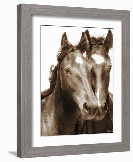 Horse Portrait III-David Drost-Framed Photographic Print