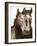 Horse Portrait III-David Drost-Framed Photographic Print