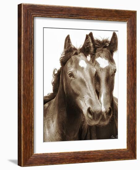 Horse Portrait III-David Drost-Framed Photographic Print