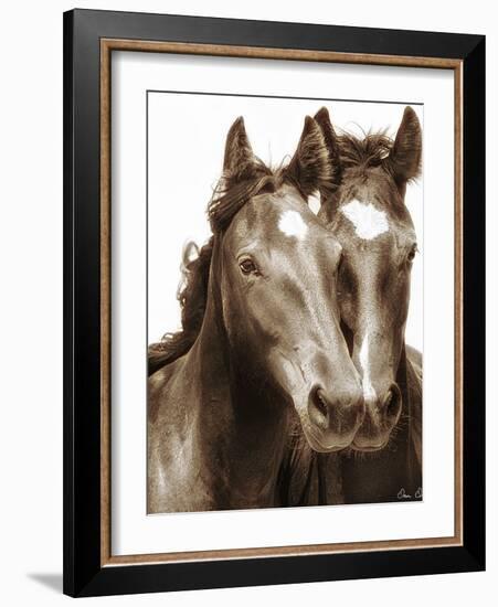 Horse Portrait III-David Drost-Framed Photographic Print