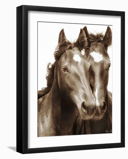 Horse Portrait III-David Drost-Framed Photographic Print