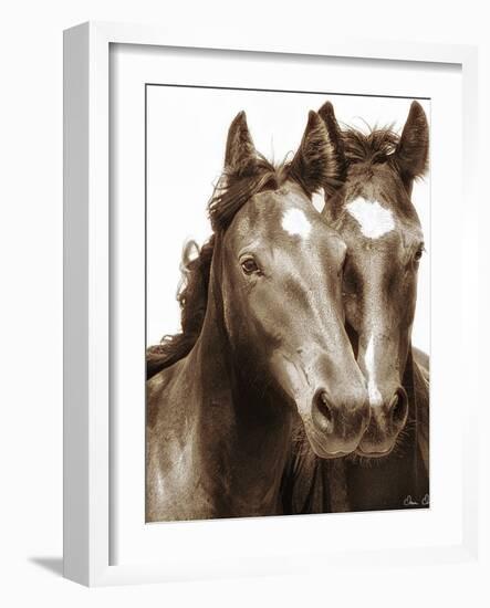 Horse Portrait III-David Drost-Framed Photographic Print