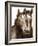 Horse Portrait III-David Drost-Framed Photographic Print