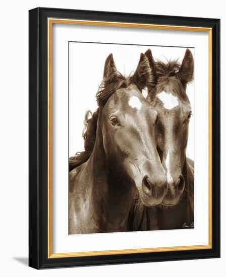 Horse Portrait III-David Drost-Framed Photographic Print