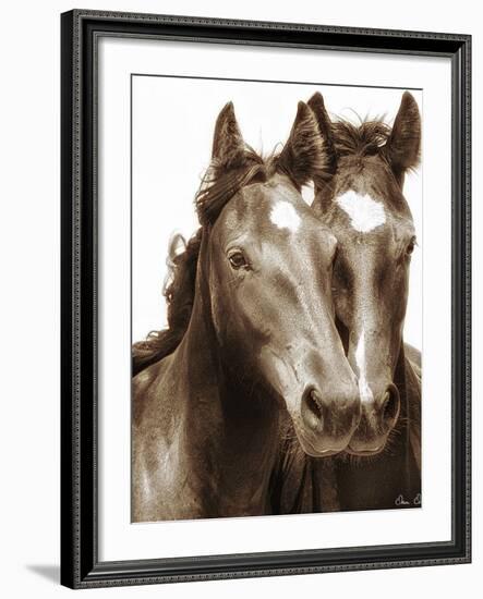 Horse Portrait III-David Drost-Framed Photographic Print