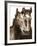 Horse Portrait III-David Drost-Framed Photographic Print