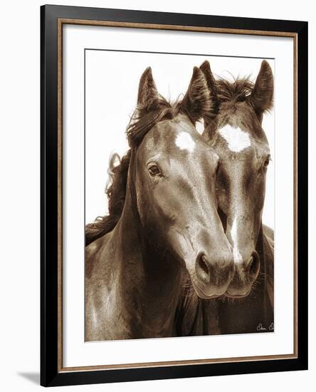 Horse Portrait III-David Drost-Framed Photographic Print