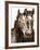 Horse Portrait III-David Drost-Framed Photographic Print