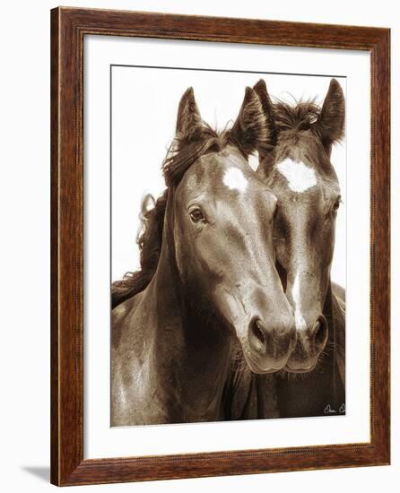 Horse Portrait III-David Drost-Framed Photographic Print