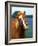 Horse Portrait-Darrell Gulin-Framed Photographic Print