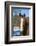 Horse posing-Zandria Muench Beraldo-Framed Photographic Print