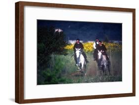 Horse Race, Cavalcata Celebration, Sassari, Sardinia, Italy-null-Framed Photographic Print