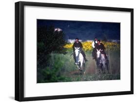 Horse Race, Cavalcata Celebration, Sassari, Sardinia, Italy-null-Framed Photographic Print