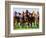 Horse Race in Motion-Peter Walton-Framed Photographic Print