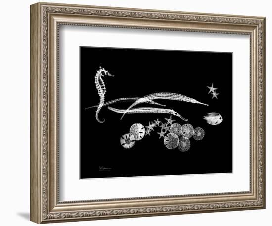 Horse Race Xray-Albert Koetsier-Framed Art Print